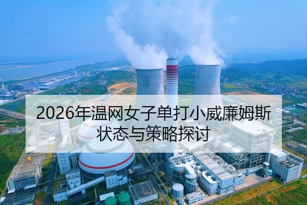 nian-wen-wang-nv-zi-dan-da-xiao-wei-lian-mu-si-zhuang-tai-yu-ce-lve-tan-tao-2-707.jpg