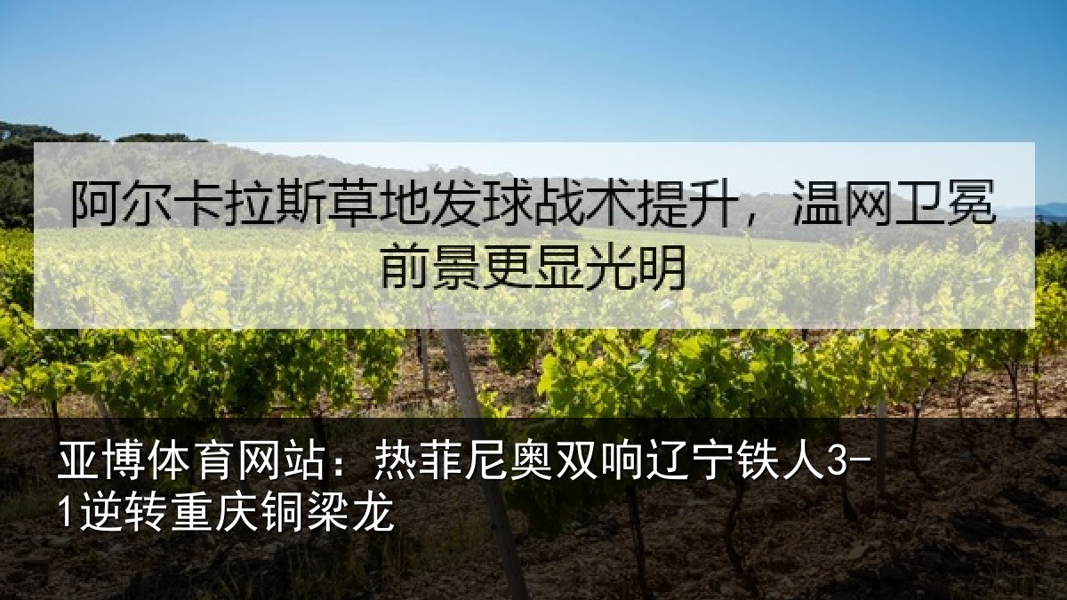 亚博体育网站：热菲尼奥双响辽宁相关情况龙