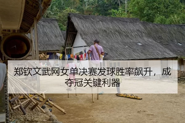 郑钦文武网女单决赛发球胜率飙升，成夺冠关键利器