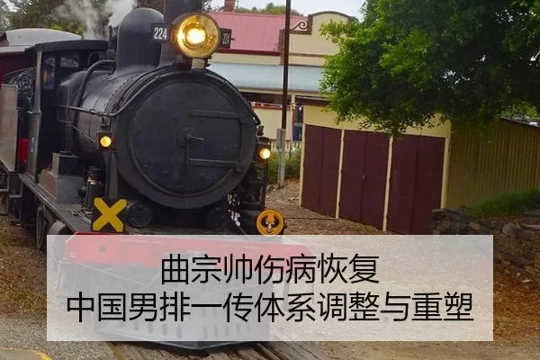 qu-zong-shuai-shang-bing-hui-fu-zhong-guo-nan-pai-yi-chuan-ti-xi-tiao-zheng-yu-zhong-su-3-495.jpg