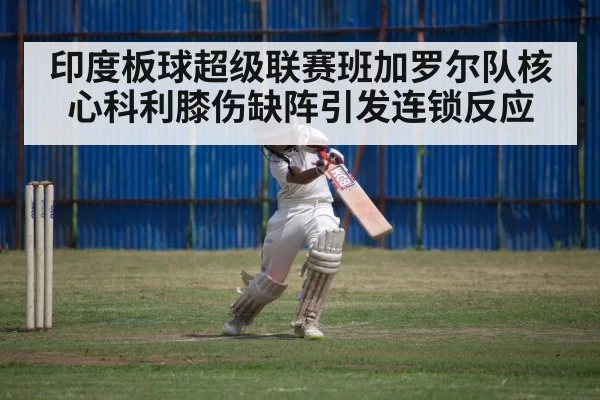 cricket match action